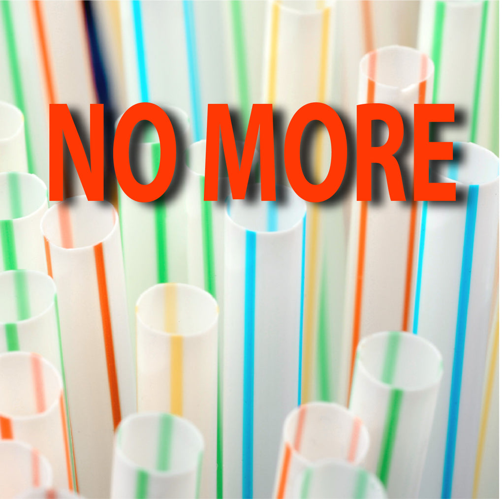 No More Plastic Straws!